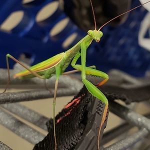 Meet your Posher, Jeremy